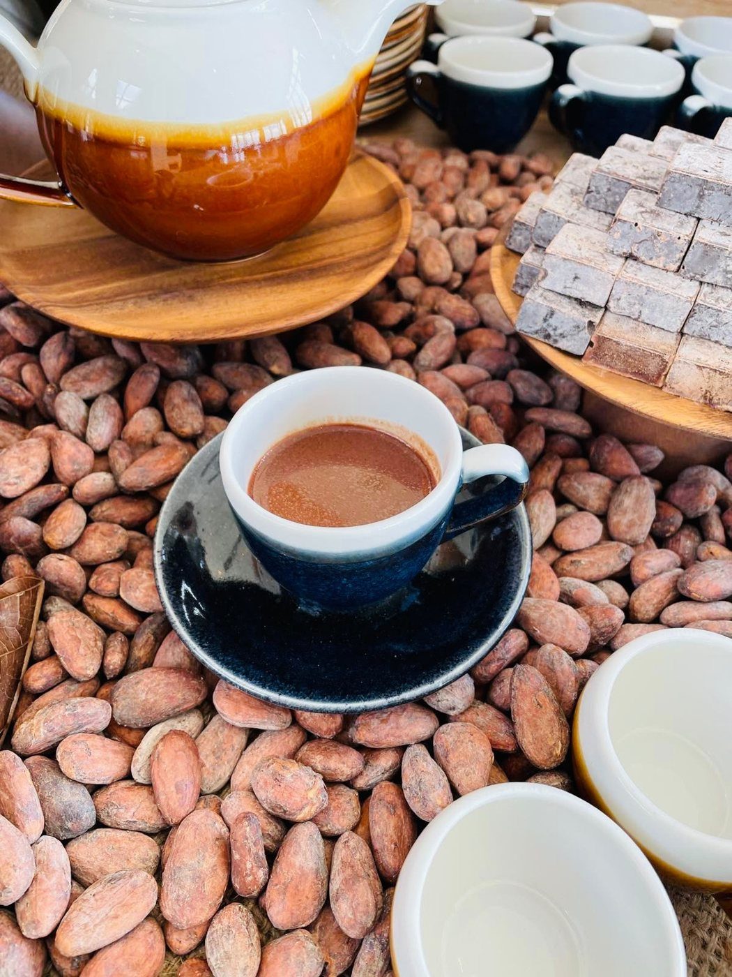 A cup of tableya hot chocolate on cacao beans beside a teapot and cups